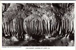 Fish Market Caverns of Luray VA Virginia UNP 1926 DB Postcard L10 - £2.82 GBP