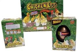2 Chicken Watch Them Hatch &amp; Grow Eggs Novelty Growing Just Add Water Magic Egg - £5.16 GBP