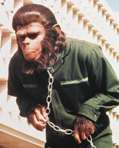 Conquest of the Planet of the Apes 8x10 Photo Roddy McDowall in chains - £6.27 GBP