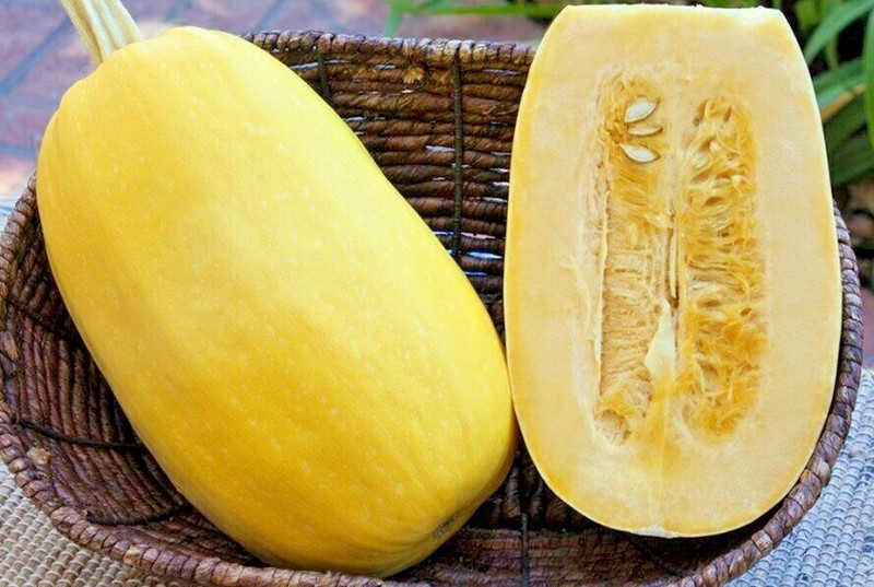 Squash Winter Vegetable Spaghetti Seeds 20 Counts Organic Non GMO Fast Grow - $11.25