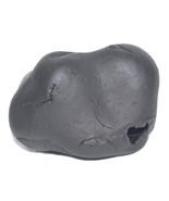 Pattabhi Rama Shaligram / Rama Salagram - Gandaki River Nepal - $5,876.71 MXN