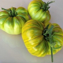 Aunt Ruby&#39;S German Green Tomato Seeds Organic Gardening USA SELLER - $4.50