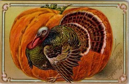 Thanksgiving Turkey Large Pumpkin 1908 Gettysburg to Littlestown PA Postcard X9 - £6.20 GBP