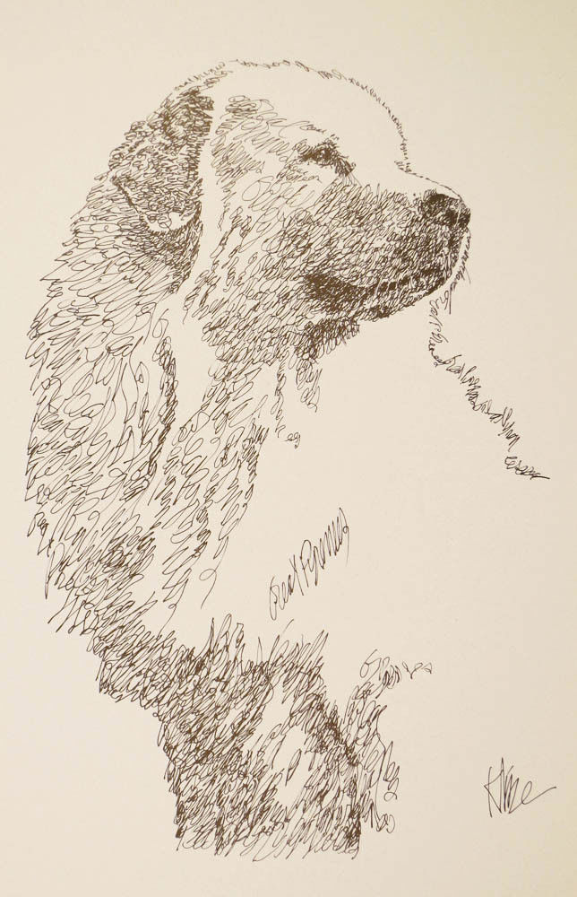 Great Pyrenees Dog Art Lithograph #73 Stephen Kline will draw dogs name free.