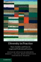 Diversity in Practice : Race, Gender, and Class in Legal and Professiona... - $76.95