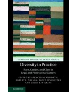 Diversity in Practice : Race, Gender, and Class in Legal and Professiona... - £60.38 GBP