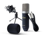 Marantz Professional MPM-1000 - Studio Recording XLR Condenser Microphon... - £63.92 GBP