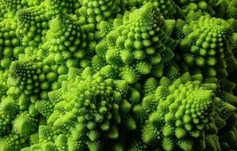 Grow In US Romanesco Broccoli Seeds 300+ Exotic Garden Italia Vegetables - £6.48 GBP