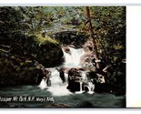 Mary&#39;s Arch Waterfall Ossipee Mountain Park New Hampshire NH DB Postcard T3 - £3.11 GBP