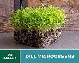 5 gr / seeds (enough for a full 1020 tray) Microgreen Southern Spice Mix... - $18.98