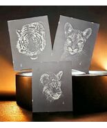 J Hill 1970s Wildlife Art Prints Black and White Sketch Set of 3 Unframe... - $112.73 CAD