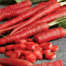 Carrot Seeds - Red - Outdoor Living - Vegetable Seeds -  Gardening Free Shipping - £68.26 GBP