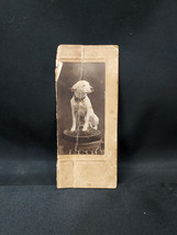 Early 1900s Cabinet Card Photograph of Dog On Stool  - $12.19