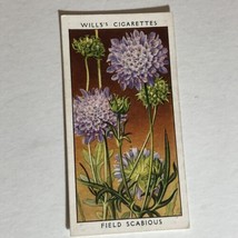 Field Scabious Wild Flowers Wills Vintage Cigarette Card #36 - £2.33 GBP