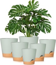 Plant Pots 8/7/6.5/6/5.5/5 Inch Gardife Self Watering Planters With, And... - £29.34 GBP