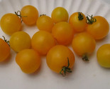 50 + seeds Igleheart Cherry Tomato Juicy Tomatoe Vegetable Garden Edible... - $8.94