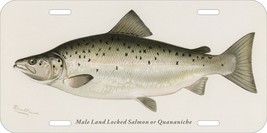 SHERMAN F DENTON FISHES NORTH AMERICA LAND LOCKED SALMON CAR METAL LICEN... - £11.86 GBP