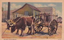 Ox Cart In Old Mexico Two Oxen Wagon Postcard A31 - $2.99