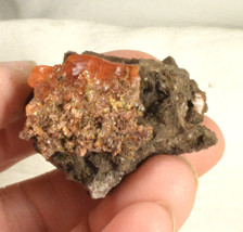 #4017 Wulfenite - Red Cloud Mine, Yuma Co., Arizona - £32.07 GBP