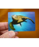(MAG-2) 3D MAGNET Fridge refrigerator photo Green reef Sea turtle ocean ... - £6.06 GBP