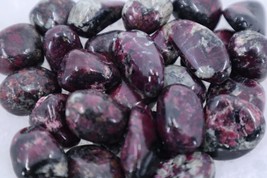 Eudialyte - Tumbled - £11.13 GBP