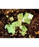 TORBERNITE - Crown King, Yavapai County, ARIZONA - €172,01 EUR