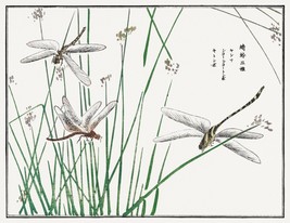 13582.Decor Poster print.Room Wall interior art.Japanese drawing.Dragonflies - £12.98 GBP+