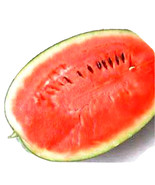 KKG Black Diamond Watermelon 15 Seeds Fresh Garden - $8.89