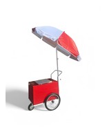POPSICLES CART POPSICLES MOBILE CART FROZEN TREATS CART FRUIT POPS PUSH ... - $72,390.14 MXN
