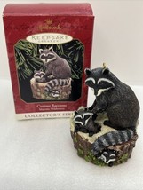 Hallmark Ornament 1999 Curious Raccoons 3rd In Majestic Wilderness Series - £9.24 GBP