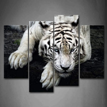 White Tiger Lie On Rock Wall Art Painting Canvas Picture Print Animal Ho... - £99.64 GBP