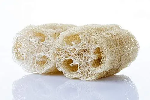 Sponge Gourd Seeds-20 Seeds-Luffa Gourd, Exotic Vegetable, Easy To Grow Usa Sell - £15.43 GBP