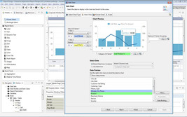 BIRT Report Designer Reporting &amp; Data Visualization Platform Software Download G - £13.03 GBP