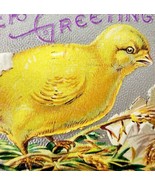 Easter Greetings 1910 Postcard Embossed Egg Hatching Chick Silver PCBG6D - $41.01 CAD