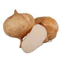 10pcs seed Jicama Pachyrhizus Erosus Organic Vegetables Home Garden High... - $7.77