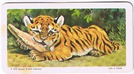 Brooke Bond Red Rose Tea Card #29 Tiger Animals &amp; Their Young - £0.76 GBP