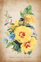 13724.Decor Poster print.Room Wall art design.Botanical.Yellow Flowers bouquet. - £12.74 GBP+