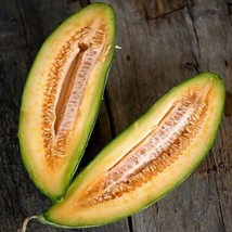 Fresh Garden Banana Melon Cantaloupe Seeds 50+ Muskmelon Fruit Heirloom USA FREE - $9.45