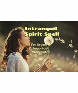 Intranquil Spirit Spell for Urgent & Important Wishes - $175.00