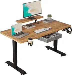 Height Adjustable Electric Standing Desk With One Drawer, Table With Sto... - $333.99