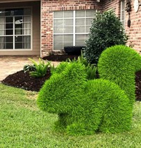 Outdoor Animal Small Squirrel Topiary Green Figures 18&quot; covered in Artificial Gr - £489.97 GBP