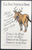 1907 Elks That Stayed At Home w/Rope Tail Lodge Philadelphia Convention Postcard - £11.90 GBP