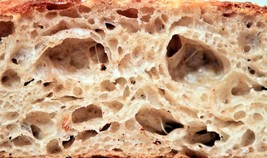 SAN FRANCISCO WHARF SOURDOUGH STARTER yeast bread mix very active many r... - $7.72