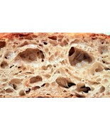 SAN FRANCISCO WHARF SOURDOUGH STARTER yeast bread mix very active many r... - $7.72