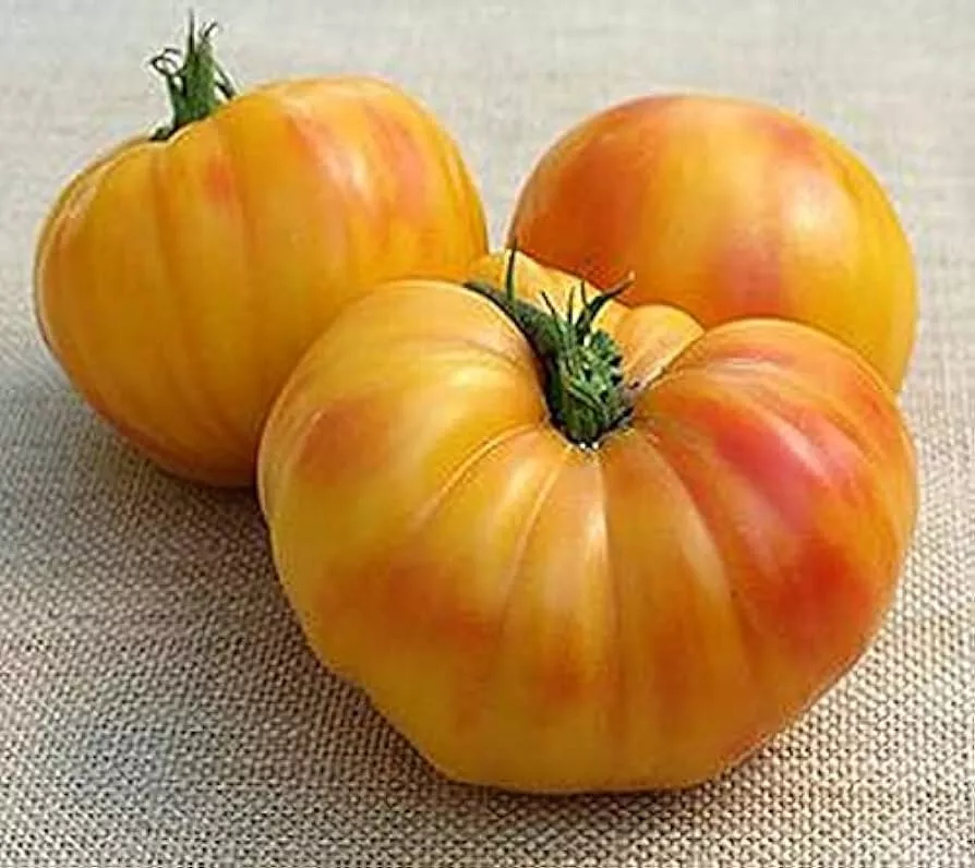 USA SELLER 50 Seeds Oaxacan Jewel Tomato Vegetable Garden Edible Fast Shipping - $15.25