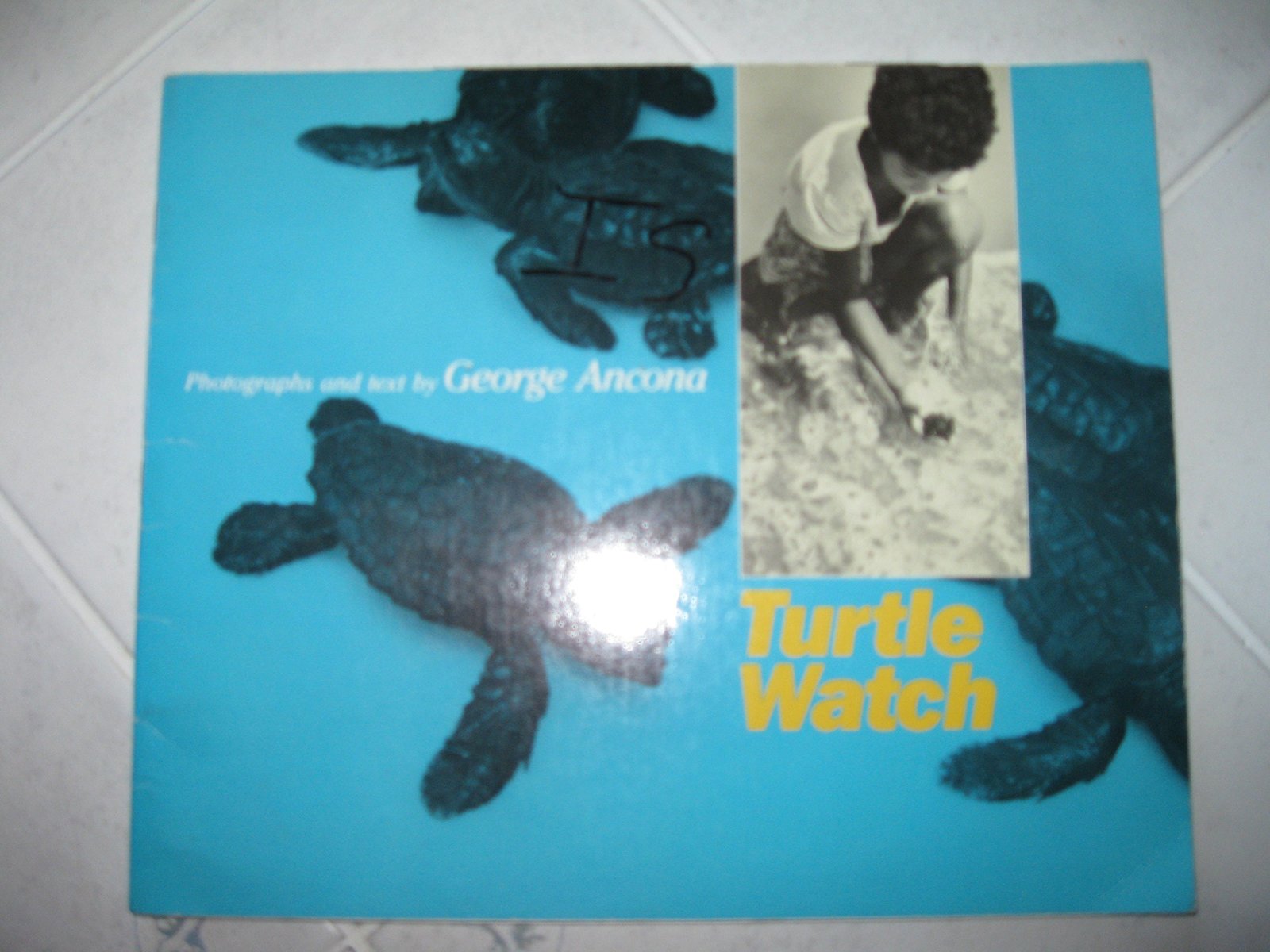 Turtle watch (A new view) [Paperback] George Ancona - $9.79