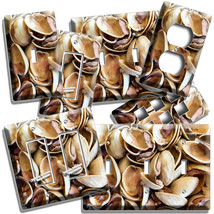 Cracked Pistachio Nut Shells Light Switch Plate Outlet Kitchen Nut Shop Hd Decor - £10.39 GBP+