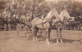 Pair Horses Carriage Buggy Real Photo RPPC Postcard D39 - £2.38 GBP