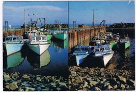 Postcard High Tide Low Tide Alma Wharf Bay Of Fundy New Brunswick - $2.13