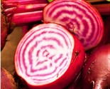 Chioggia Beet Seeds 100 Seeds Non-Gmo Fast Shipping - $7.99